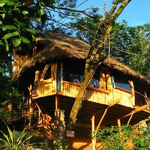 Vanira Teahupoo